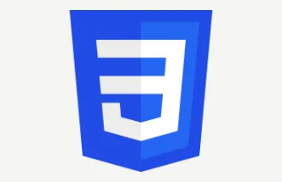 CSS logo