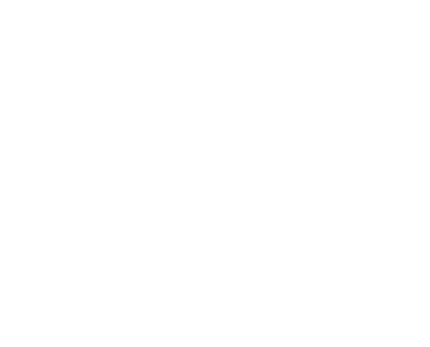 Basirah Logo White.png