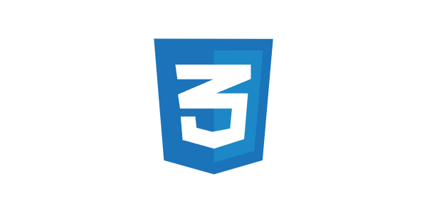 CSS Logo