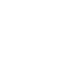 Customized Solution